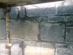 millstreet 11560.jpg